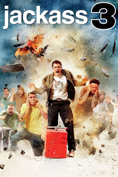 jackass .